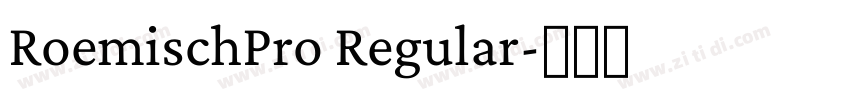 RoemischPro Regular字体转换 RoemischPro Regular字体转换